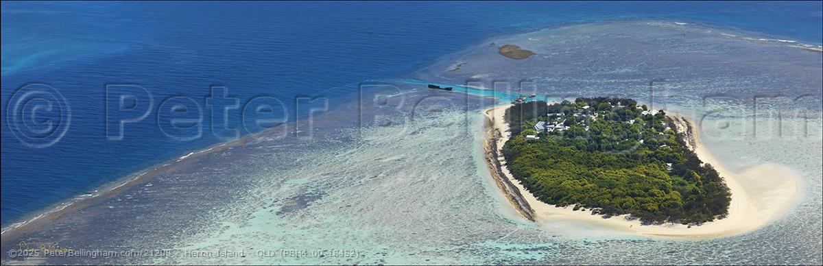 Peter Bellingham Photography Heron Island - QLD (PBH4 00 18452)